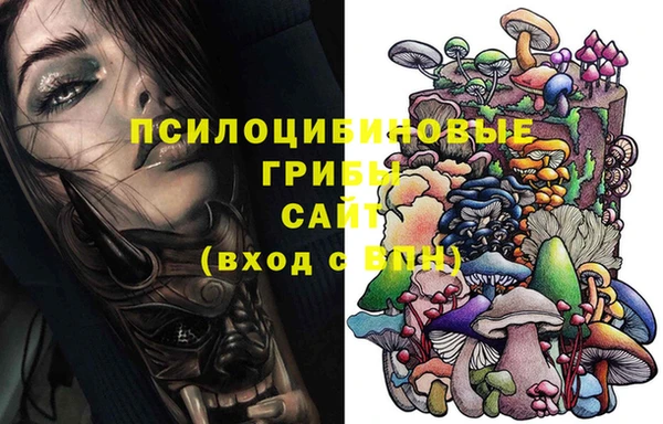 ECSTASY Аркадак