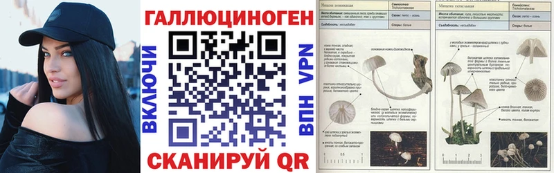 Псилоцибиновые грибы GOLDEN TEACHER  Саки 